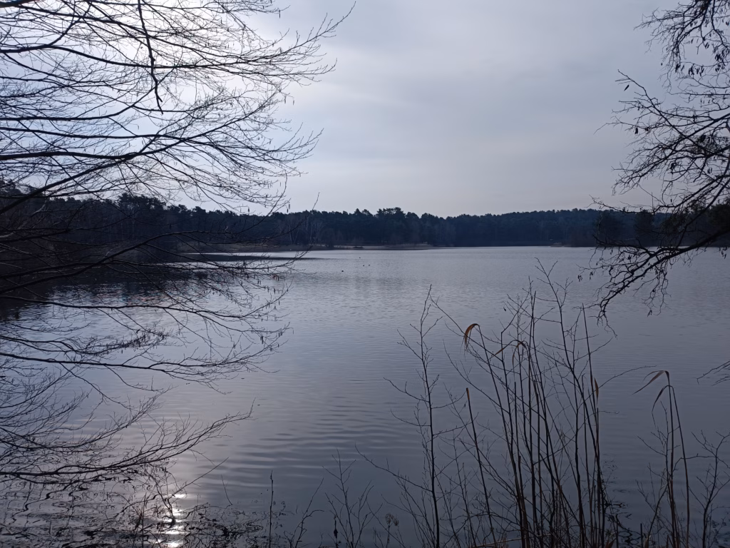 Bild vom Tonsee